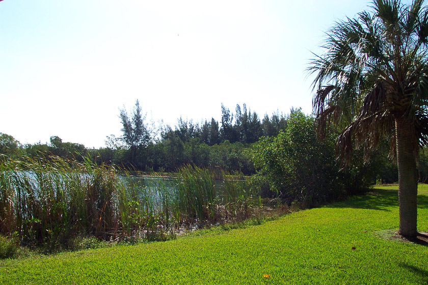  Matheson Hammock